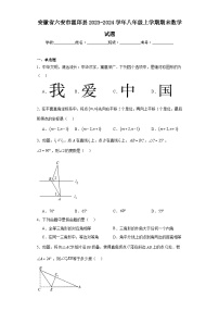 安徽省六安市霍邱县2023-2024学年八年级上学期期末数学试题(含答案)