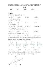 河北省石家庄市赵县2023-2024学年八年级上学期期末数学试题(含答案)