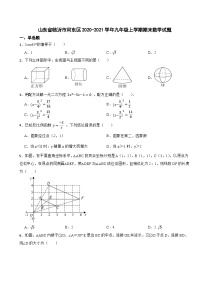 山东省临沂市河东区2020-2021学年九年级上学期期末数学试题