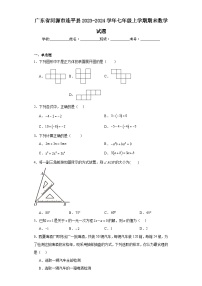 广东省河源市连平县2023-2024学年七年级上学期期末数学试题(含答案)