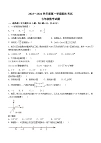 安徽省池州市青阳县2023-2024学年七年级上学期期末数学试题