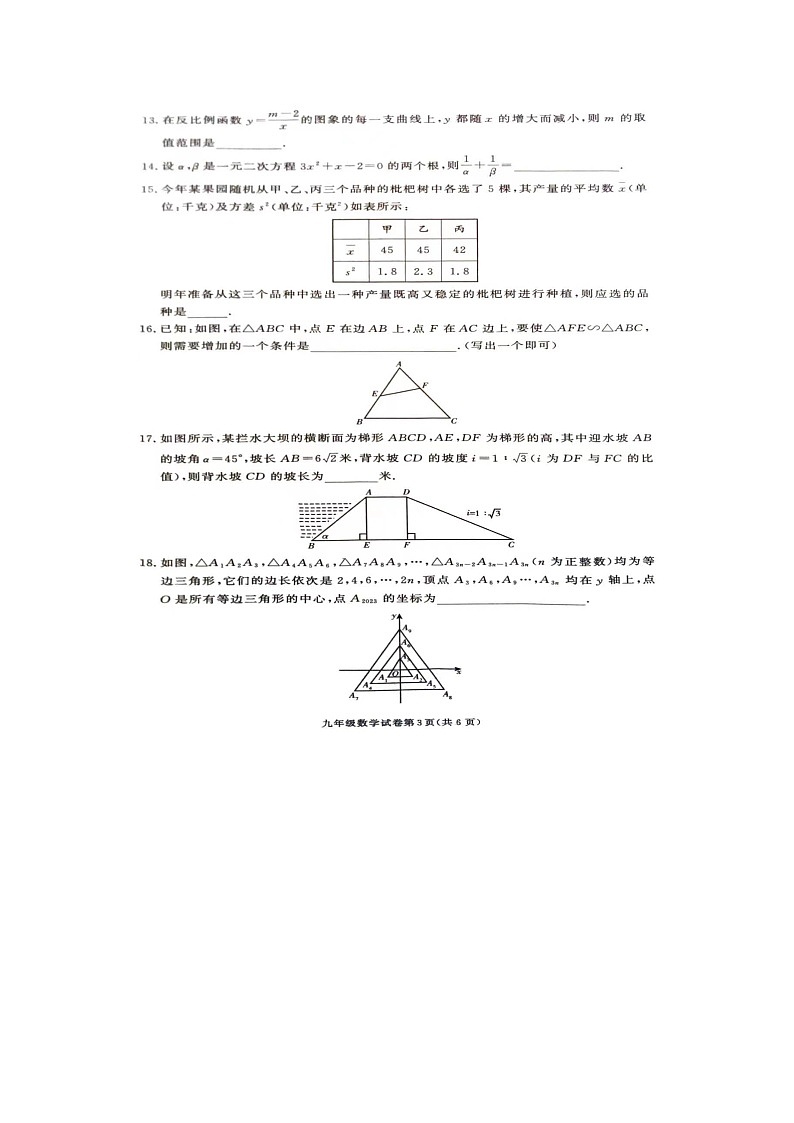 湖南省张家界市桑植县2023-2024学年九年级上学期期末考试数学试卷第3页