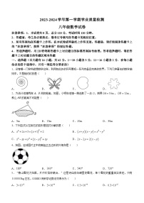 河北省保定市唐县2023-2024学年八年级上学期期末数学试题