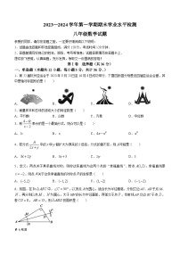 山东省聊城市冠县2023-2024学年八年级上学期期末数学试题