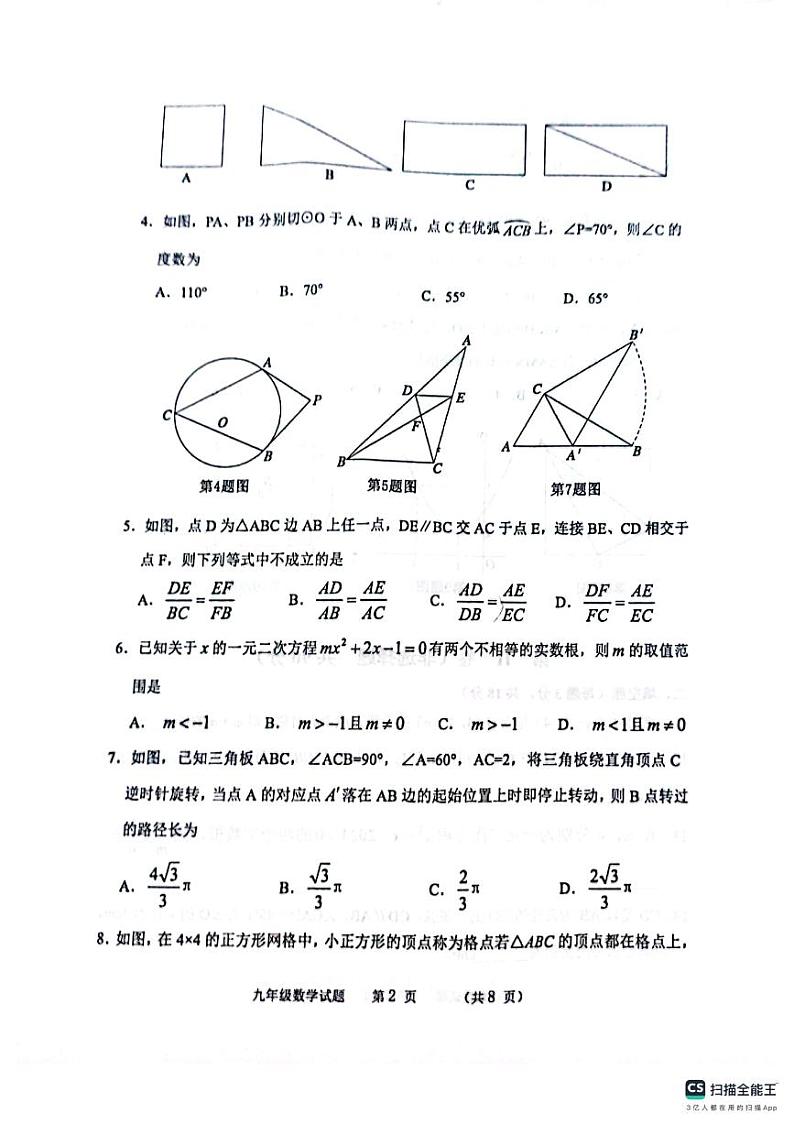 山东省滨州市无棣县2023-2024学年上学期期末测试九年级数学试题第2页