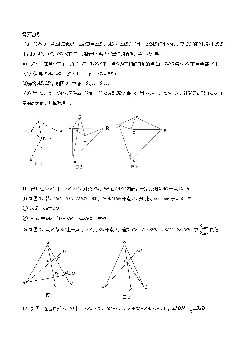 全等三角形的七大模型综合训练（五）（原卷版）第3页