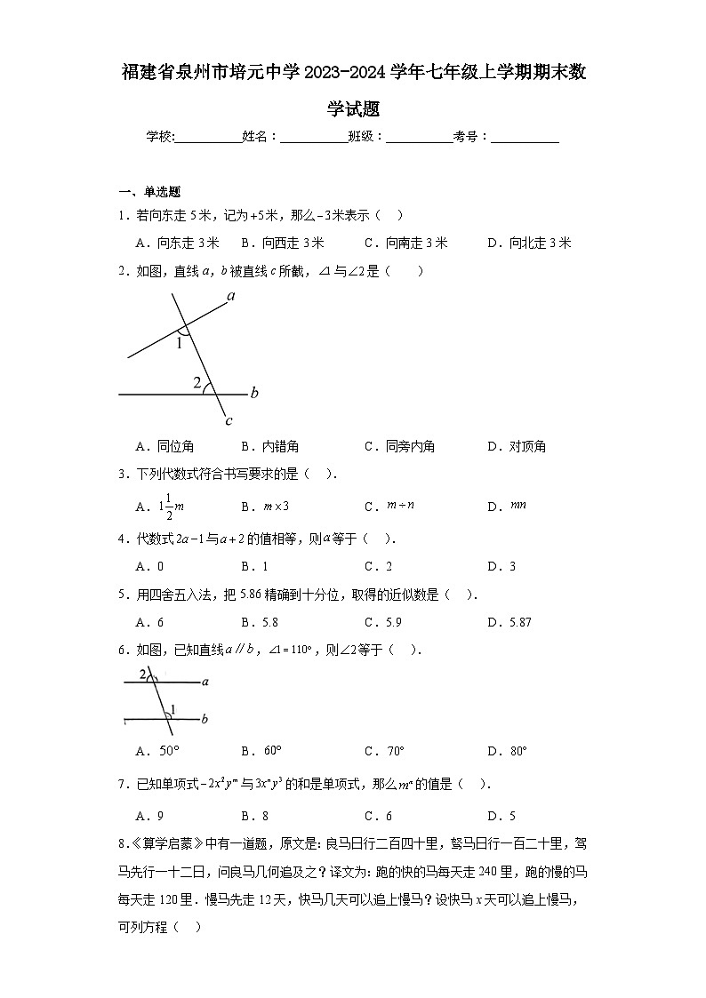 福建省泉州市培元中学2023-2024学年七年级上学期期末数学试题(含答案)01