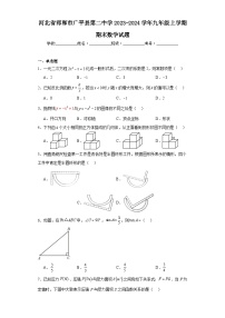 河北省邯郸市广平县第二中学2023-2024学年九年级上学期期末数学试题(含答案)