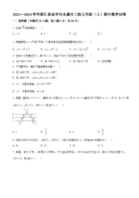 2023-2024学年浙江省金华市永康市三校九年级上学期期中数学试题