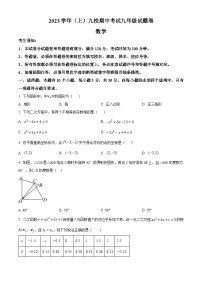 2023-2024学年浙江省台州市路桥区路桥区第二中学九年级上学期期中数学试题