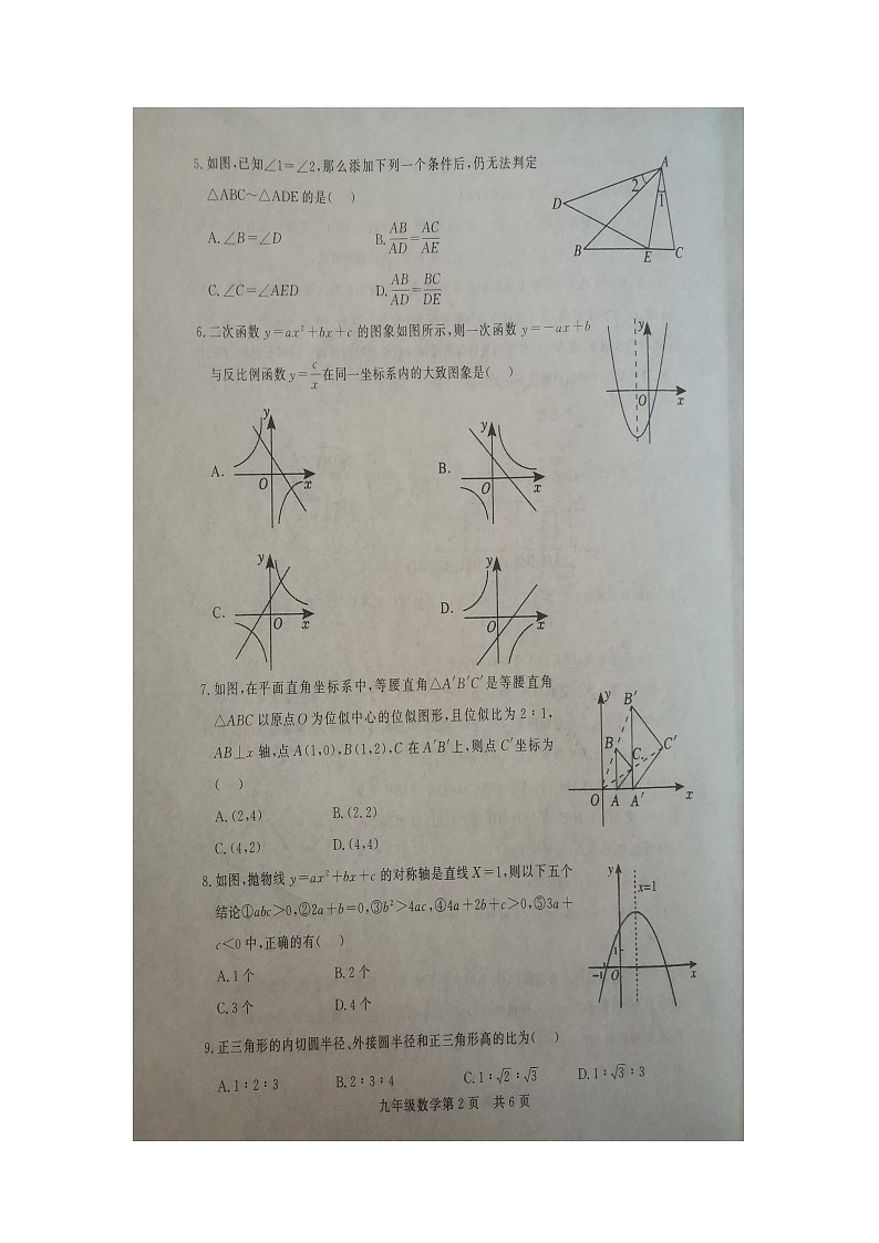 山东省德州市禹城市2023-2024学年九年级上学期1月期末数学试题第2页