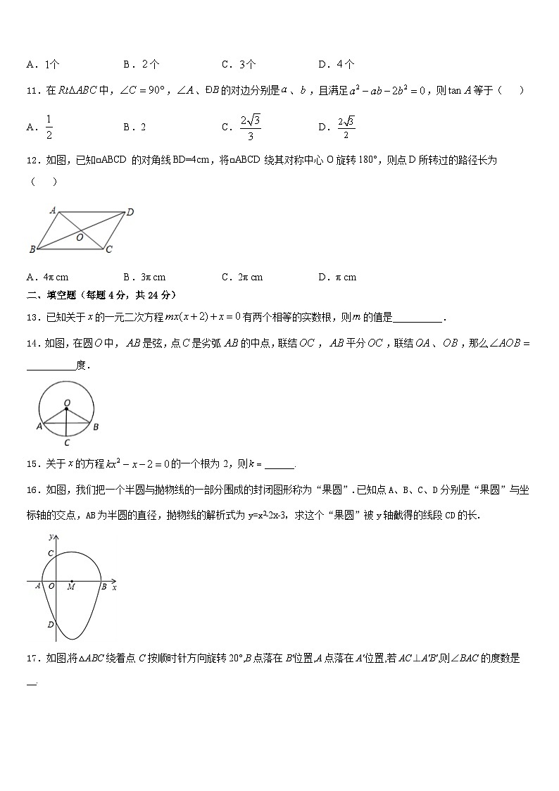 广东省广州大附属中学2023-2024学年九上数学期末检测模拟试题含答案第3页