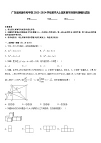 广东省河源市和平县2023-2024学年数学九上期末教学质量检测模拟试题含答案