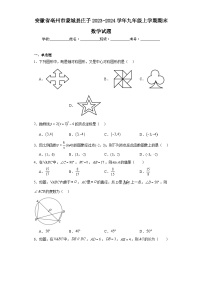 安徽省亳州市蒙城县庄子2023-2024学年九年级上学期期末数学试题(含答案)