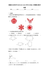 安徽省合肥市庐江县2023-2024学年九年级上学期期末数学试题(含答案)