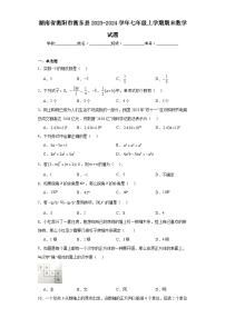 湖南省衡阳市衡东县2023-2024学年七年级上学期期末数学试题(含答案)