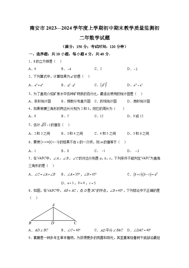 福建省泉州市南安市2023-2024学年八年级上学期期末数学试题（含解析）01