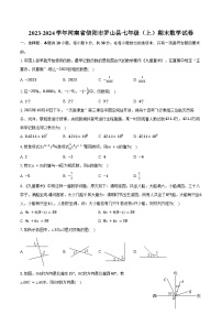 2023-2024学年河南省信阳市罗山县七年级（上）期末数学试卷（含解析）