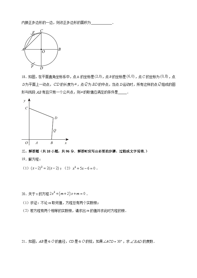 宿迁市泗阳县2023-2024学年九年级上学期期中数学试题（含答案解析）03