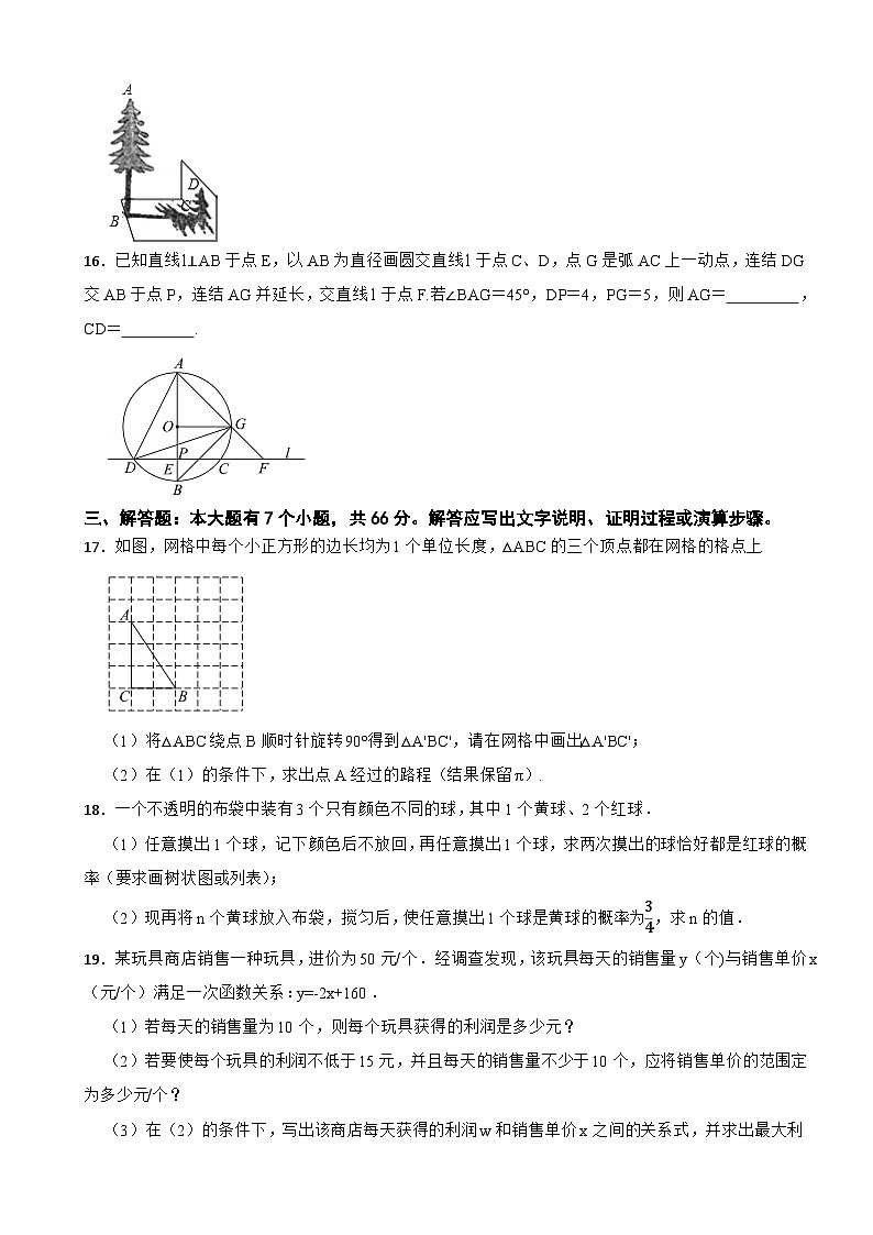 浙江省杭州市萧山区2023-2024学年九年级上学期期中预测数学试卷03