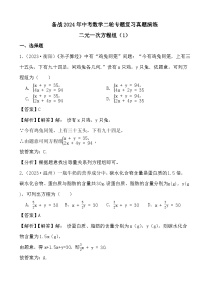 备战2024年中考数学二轮专题复习真题演练之二元一次方程组（1） (解析)