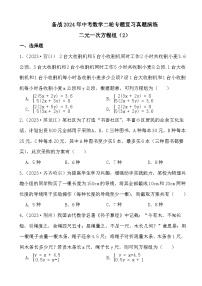 备战2024年中考数学二轮专题复习真题演练之二元一次方程组（2）