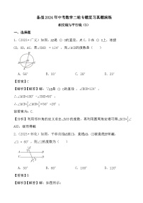 备战2024年中考数学二轮专题复习真题演练之相交线与平行线（3） (解析)