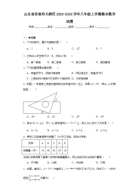 山东省济南市天桥区2023-2024学年八年级上学期期末数学试题(含答案)