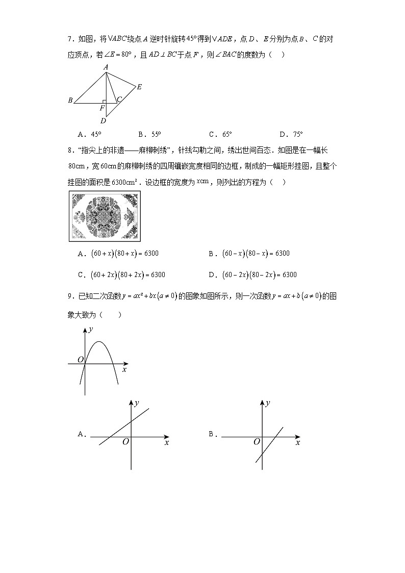 四川省广元市苍溪县2023-2024学年九年级上学期期末数学试题(含答案)02