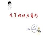 4.3 相似三角形 浙教版九年级上册课件