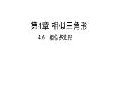 4.6 相似多边形 浙教版数学九年级上册同步课件