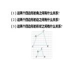 4.6 相似多边形 浙教版数学九年级上册同步课件