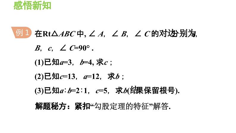 14.1.1 直角三角形三边的关系 华东师大版八年级数学上册导学课件第6页