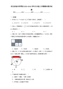 河北省沧州市青县2023-2024学年九年级上学期期末数学试题(含答案)