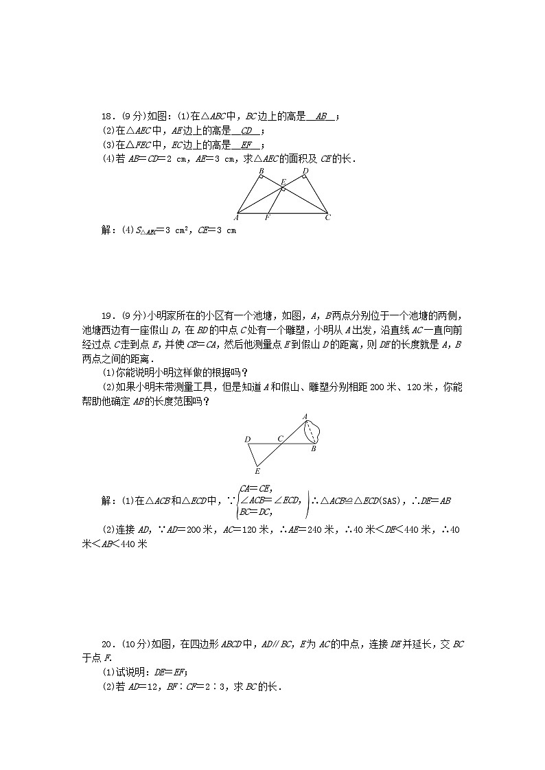 2024七年级数学下册第四章三角形检测题1及答案（北师大版）第3页