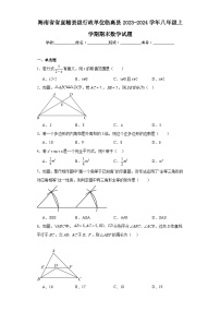 海南省省直辖县级行政单位临高县2023-2024学年八年级上学期期末数学试题(含答案)