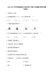 2020-2021学年河南省周口市西华县八年级上学期期中数学试题及答案