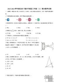 2023-2024学年湖北省十堰市竹溪县八年级（上）期末数学试卷(含解析）