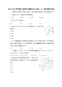 浙江省绍兴市嵊州市2022-2023学年九年级（上）期末数学试卷(含解析)