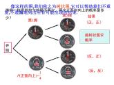 4.2 等可能條件下的概率（一）蘇科版數(shù)學(xué)九年級上冊課件