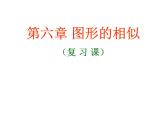 第6章 圖形的相似 同步復(fù)習(xí) 蘇科版數(shù)學(xué)九年級(jí)下冊(cè)課件