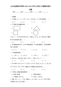 山东省威海市环翠区2023-2024学年七年级上学期期末数学试题(含答案)