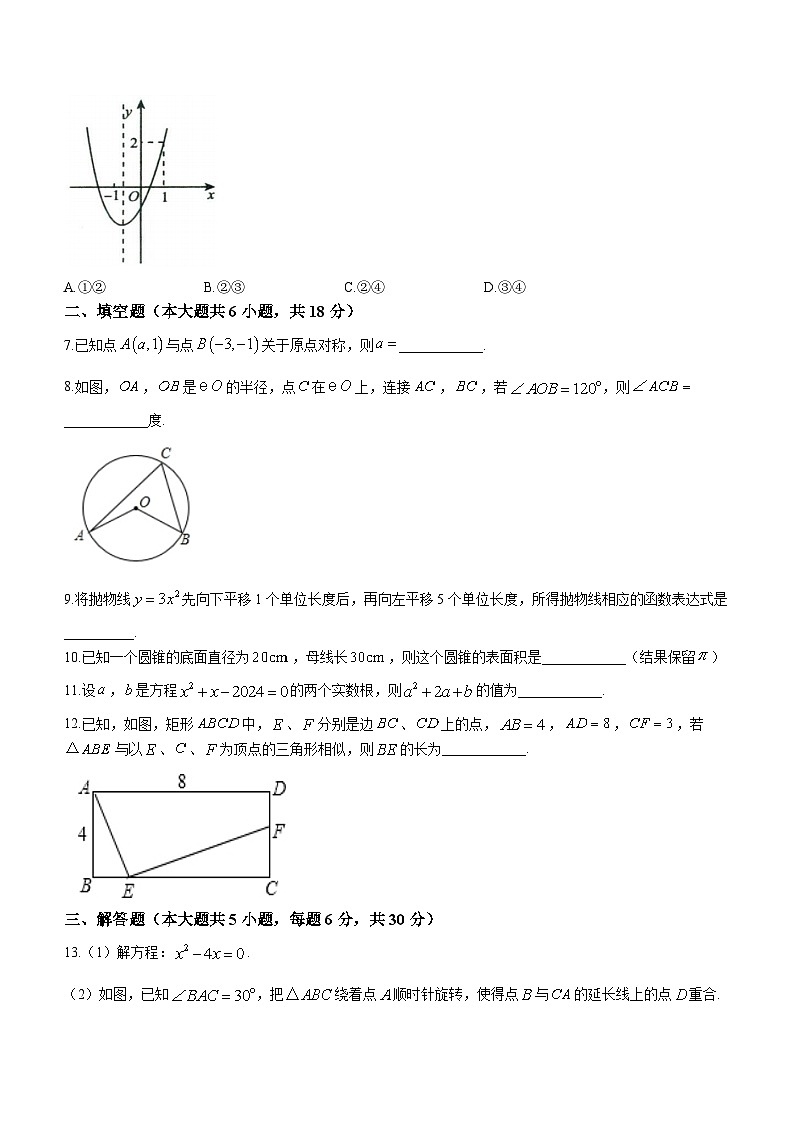 江西省南昌进贤县文港初级中学2023-2024学年九年级上学期期末数学试题第2页