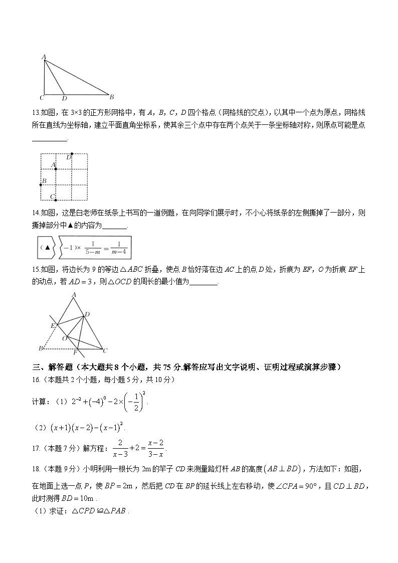 山西省朔州市多校2023-2024学年八年级上学期期末数学试题第3页