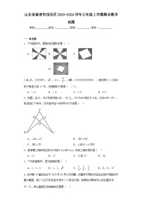 山东省泰安市岱岳区2023-2024学年七年级上学期期末数学试题(含答案)