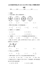 山东省泰安市泰山区2023-2024学年八年级上学期期末数学试题(含答案)