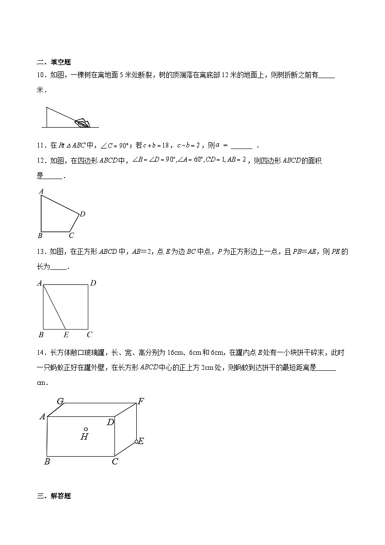 2023-—2024学年人教版数学八年级下册17.1勾股定理-专项练习（含答案）03