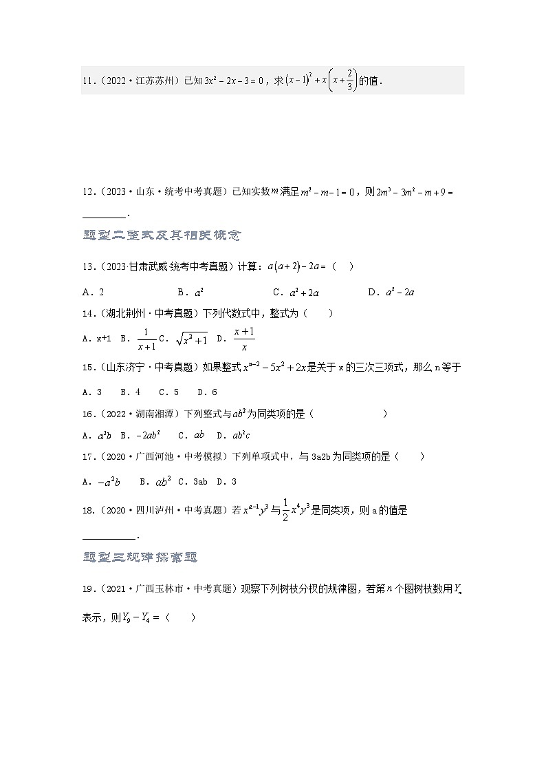 【备战2024年中考】一轮复习 初中数学 考点精讲精炼 第2讲 整式及因式分解（题型突破+专题精练）学生版第2页