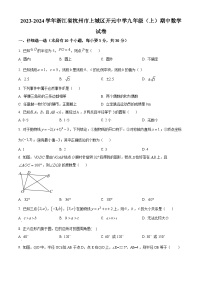 2023-2024学年浙江省杭州市上城区开元中学九年级上学期期中数学试题