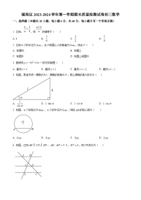 2023-2024学年浙江省宁波市镇海区九年级上学期期末数学试题